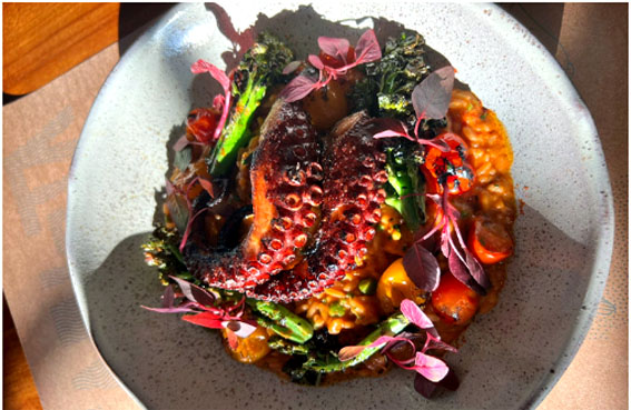Uma viagem culinária à Seychelles com a chef Carla Pernambuco