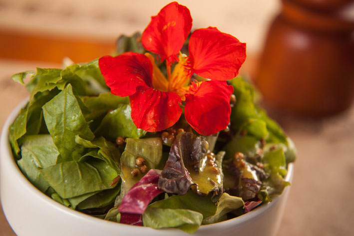 Biocarioca lança saladas com flores comestíveis para a nova estação