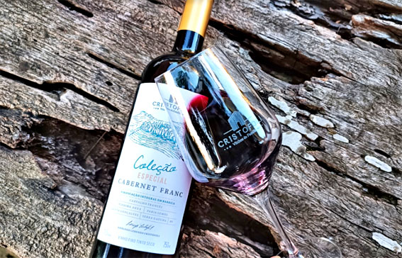 Coleção especial: Cabernet Franc 2023, do vinhedo à barrica