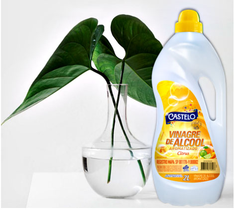 Castelo lança o Vinagre de Álcool Aromatizado Citrus