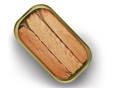 Pescados enlatados: dicas de como conservar o alimento em casa