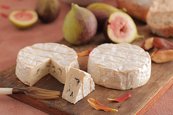 Estudo anuncia a possível extinção dos queijos Brie e Camembert