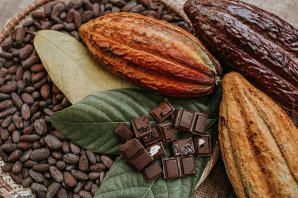 Bienal será palco da maior feira de chocolate do Brasil