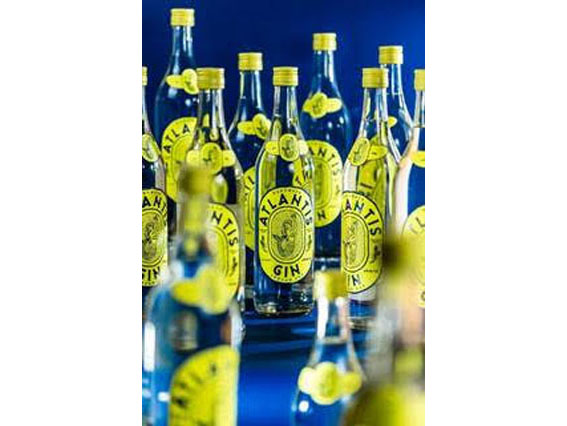 Atlantis Gin: brasileiros lançam gin com preço justo