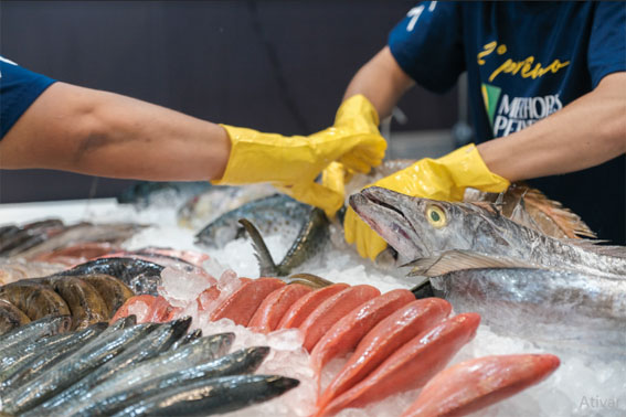 Concursos de Sushi e Peixeiros no Seafood Show 2024